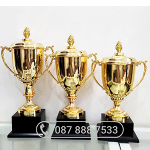 Cup kim loại vàng bóng đế gỗ - KC-4119