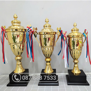 Cup kim loại vàng sang trọng - KC-4165