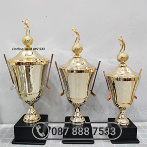 Cúp kim loại cao cấp màu vàng - KL-30282