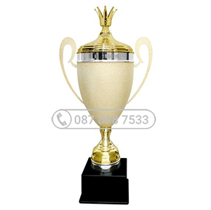 Cúp kim loại Italy cao cấp màu vàng mạ sần sang trọng - KL-30209