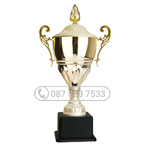 Cúp kim loại cao cấp màu vàng -KL- 30262
