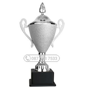 Cúp kim loại cao cấp màu bạch kim, thân mạ sần -KL- 30346