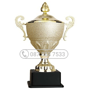 Cúp kim loại cao cấp màu vàng mạ sần- KL-30315
