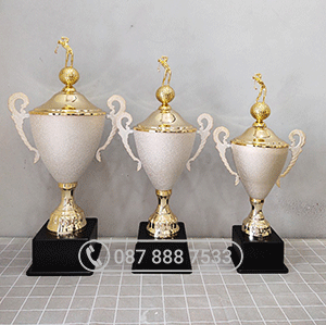 Cúp kim loại cao cấp màu bạch kim, thân mạ sần - KL-30345