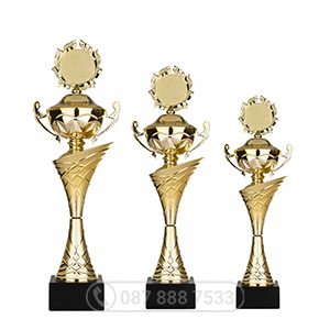 Cúp kim loại màu vàng - GTP-6011
