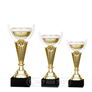 Cúp kim loại màu vàng - bạc - GTP-6012