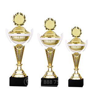 Cúp kim loại màu vàng - bạc - GTP-6013