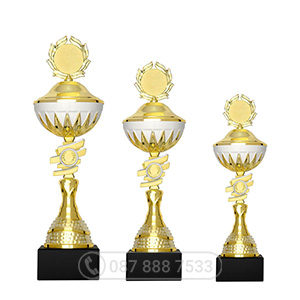 Cúp kim loại màu vàng - bạc - GTP-6019