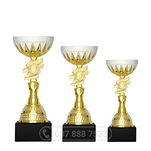 Cúp kim loại màu vàng - bạc - GTP-6020
