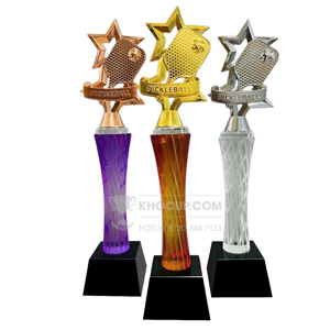 Cúp Pickleball pha lê , đỉnh pick kim loại - PIC-1208