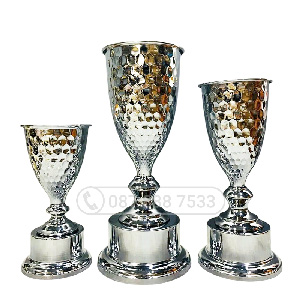 Cúp kim loại màu bạc - PIC-2141