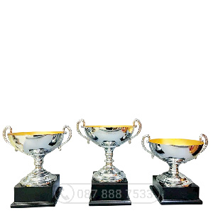  Cúp kim loại màu bạc - PIC-2153 