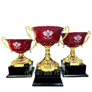 Cúp Pickleball kim loại màu vàng – đỏ - PIC-2113