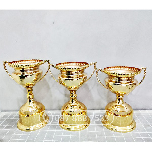 Cúp kim loại màu vàng (gắn được đỉnh pickleball) - PIC-2143