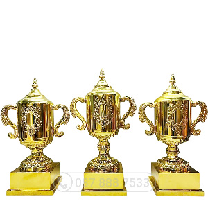 Cúp kim loại màu vàng (gắn được đỉnh pickleball) - PIC-2148 