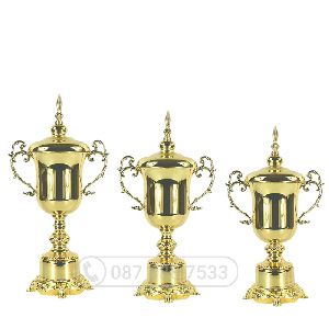 Cúp kim loại màu vàng (gắn được đỉnh pickleball) - PIC-2168 