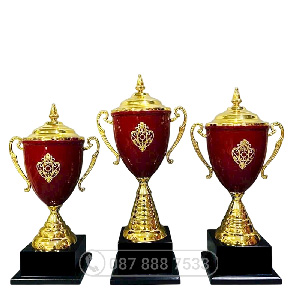Cúp Pickleball kim loại màu vàng – đỏ - PIC-2107 