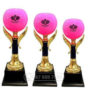 Cúp Pickleball kim loại màu vàng – hồng - PIC-2119