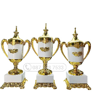 Cúp kim loại màu vàng trắng (gắn được đỉnh pickleball vàng bạc đồng) - PIC-2126
