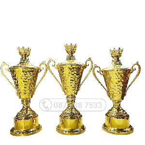 Cúp kim loại màu vàng (gắn được đỉnh pick vàng bạc đồng) - PIC-2139