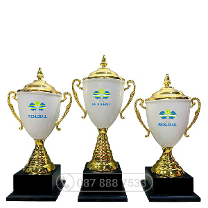 Cúp Pickleball kim loại màu vàng – trắng - PIC-2102