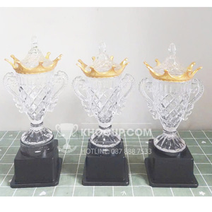 Cúp Pickleball pha lê bình, đỉnh vươn miệng - PIC-1130